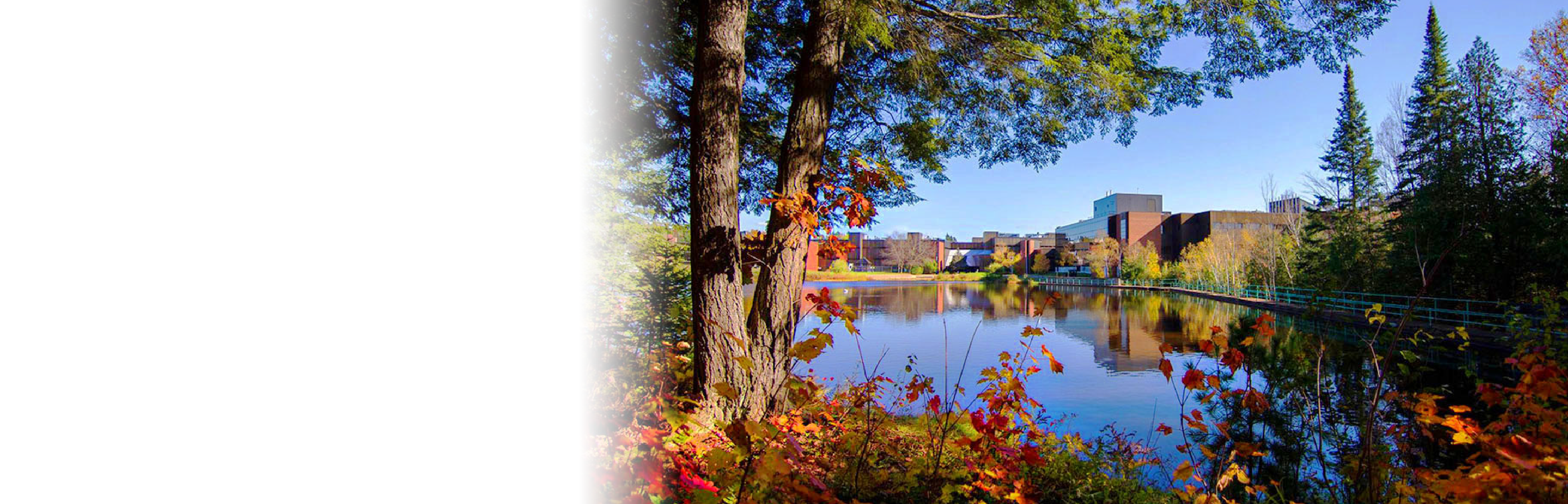 A view of the fall campus from the pond