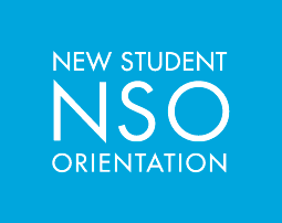 NSO Logo