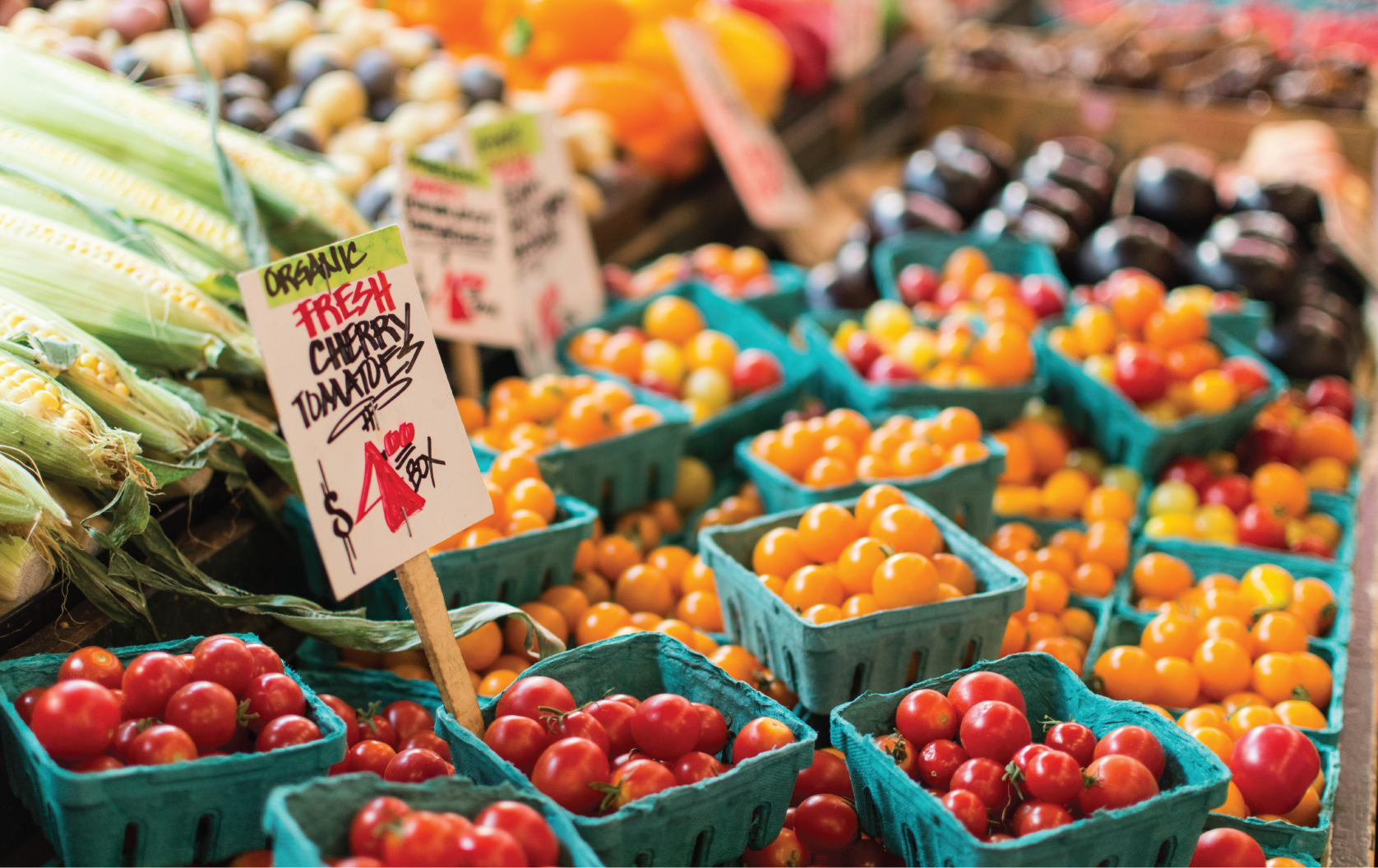 A close up of a tomato stand