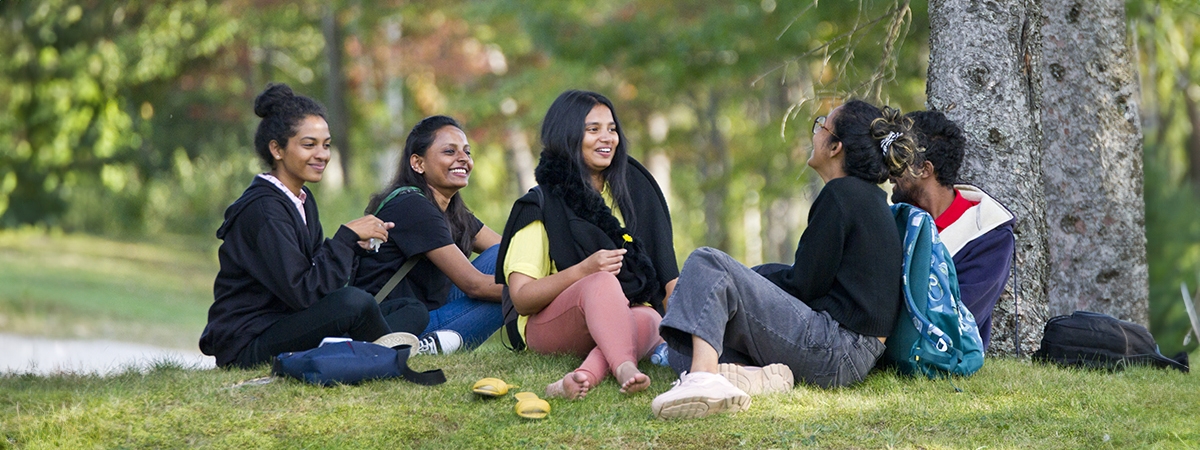 A group of international students sitting in a forested area on Nipissing University Campus.