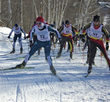 Photo of Nordic skiers