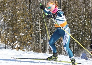 Photo of Nordic skier