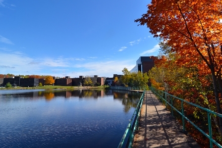 Photo of beautiful fall colours by the pond