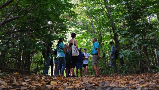 Guided medicine walk with Norm Dokis during Homecoming weekend