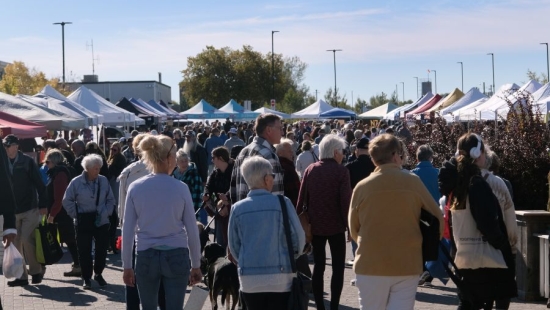 North Bay Farmers Market during NU Homecoming 2025