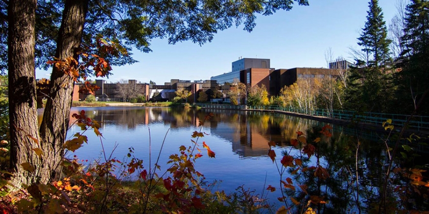 Fall colours on campus