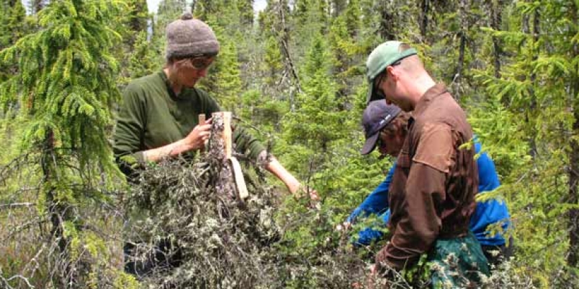 Forest Resources Laboratory | Nipissing University